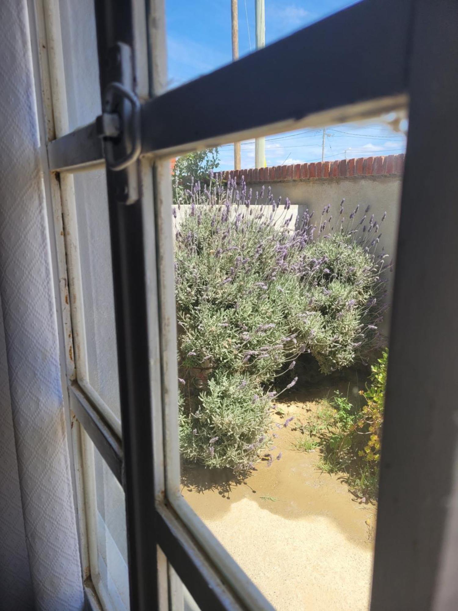 Cabanas "El Ancla" بورتو سان جوليان المظهر الخارجي الصورة